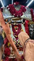 Darshan of Maa Vindhyavasini at the Temple in Mirzapur (27.03.2025)